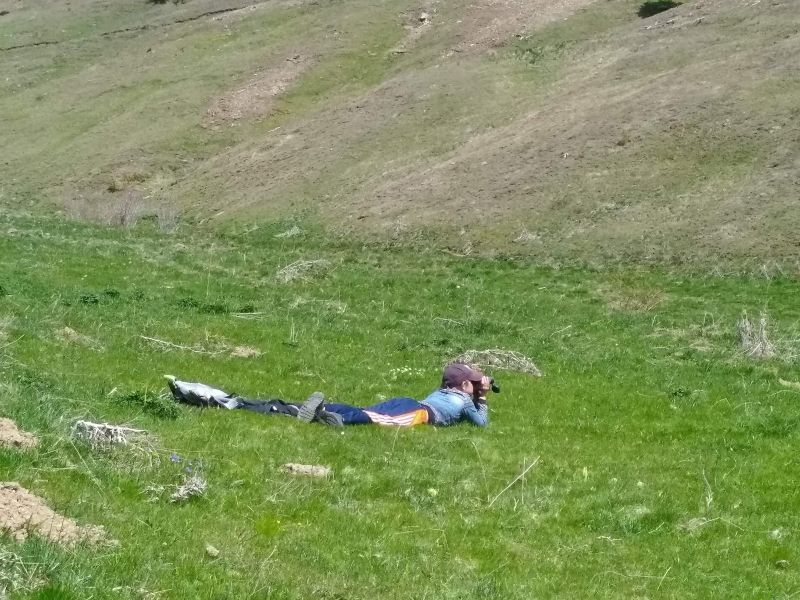 Observation de marmottes par un élève en classe verte à la jumelle et à plat ventre