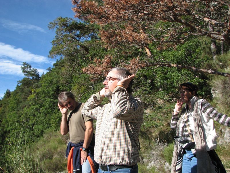 Séjour musique et nature